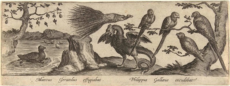 Papegaaien en fabeldieren