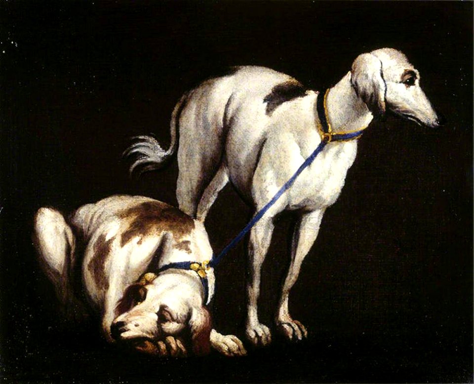 Paolo Veronese (1528-1588) (after) - Two Greyhounds - 1257121 - National Trust