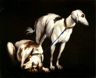 Paolo Veronese (1528-1588) (after) - Two Greyhounds - 1257121 - National Trust