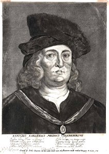 Paracelsus-portrait