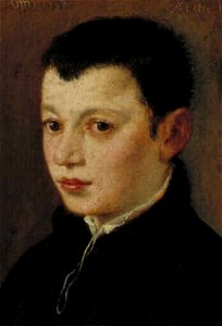 Paolo Veronese - Portret van een jongen - 2570 (OK) - Museum Boijmans Van Beuningen