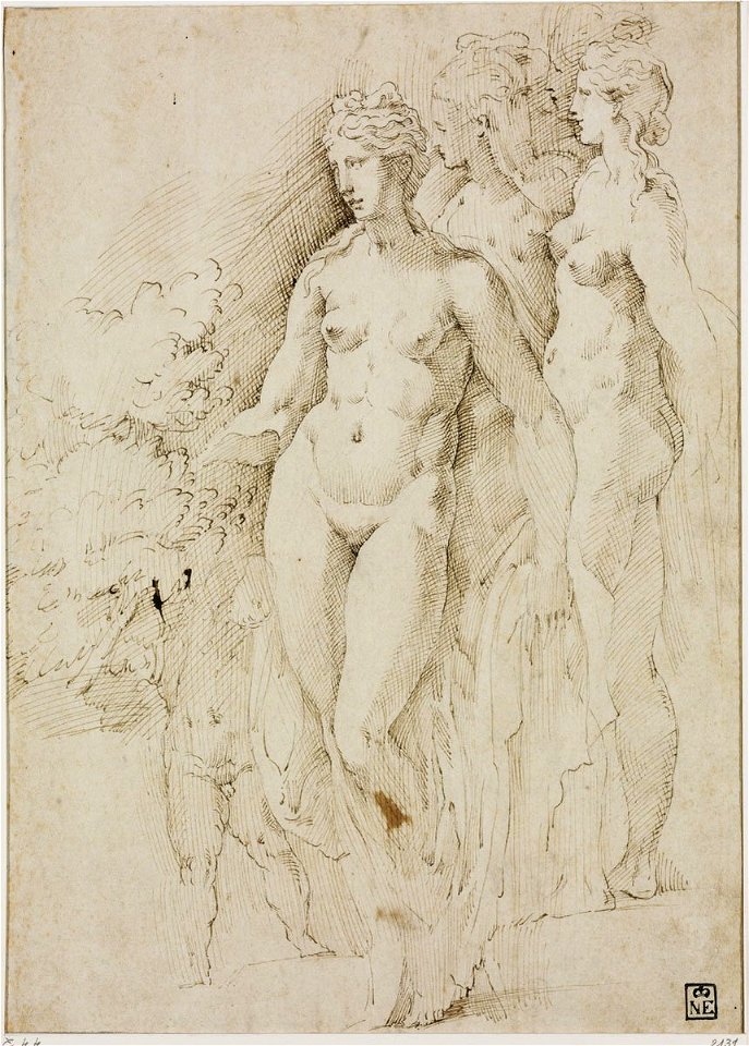 Parmigianino - Studies for Venus and Cupid, 2131