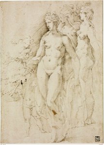 Parmigianino - Studies for Venus and Cupid, 2131