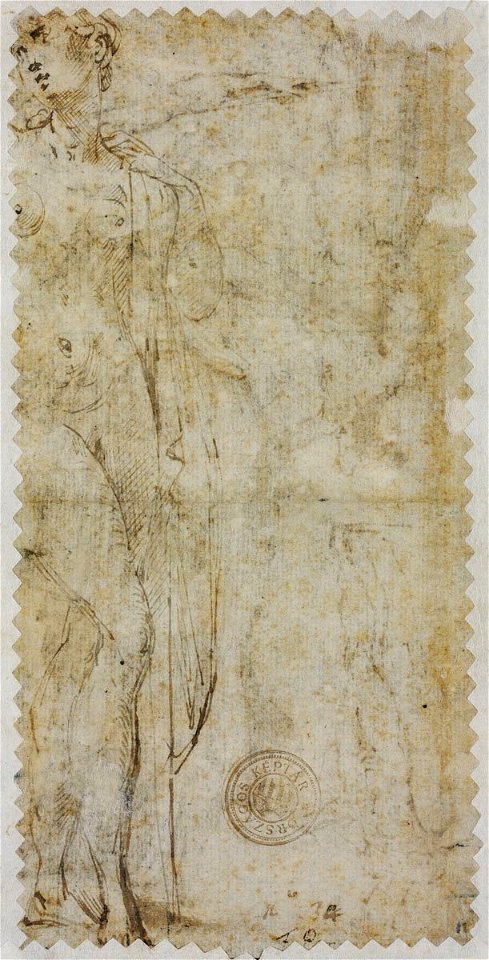 Parmigianino - recto Studies for the figures of Lucretia, Proserpina, and Mercury, 1883, 17744