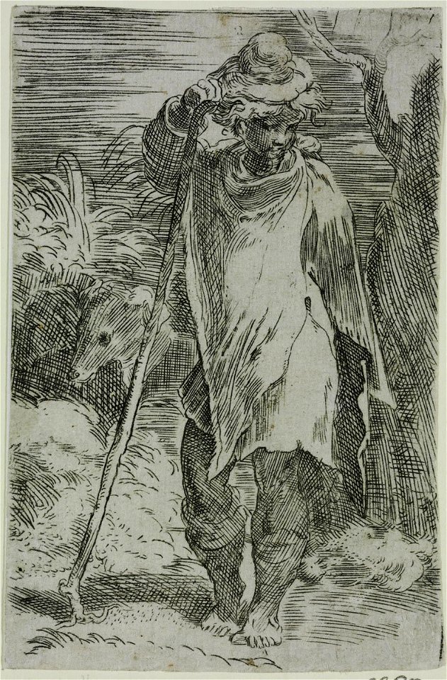 Parmigianino - Young Shepherd, 6290