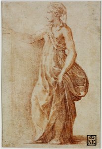 Parmigianino - Study for Proserpina, 2134