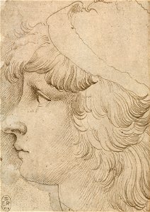 Parmigianino - The head of a youth c.1525-30, RCIN 990530