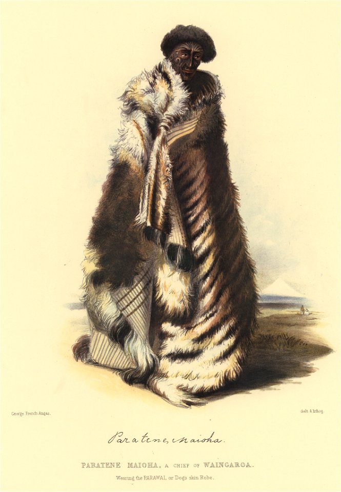 PARATENE MAIOHA, A CHIEF OF WAINGAROA. Wearing the PARAWAI, or Dog's skin Robe, The New Zealanders Illustrated, 1847