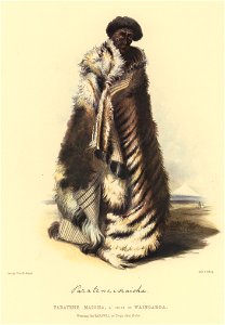 PARATENE MAIOHA, A CHIEF OF WAINGAROA. Wearing the PARAWAI, or Dog's skin Robe, The New Zealanders Illustrated, 1847
