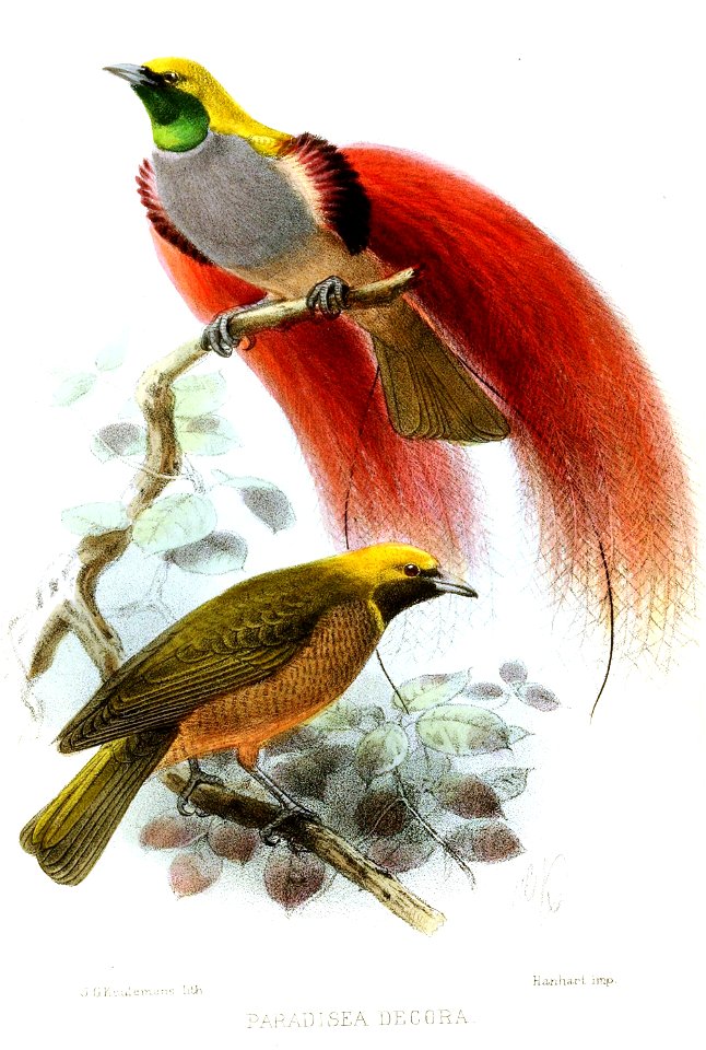 ParadiseaDecoraKeulemans
