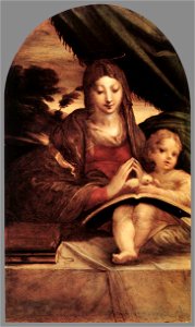 Parmigianino - Madonna and Child - WGA17037. Free illustration for personal and commercial use.