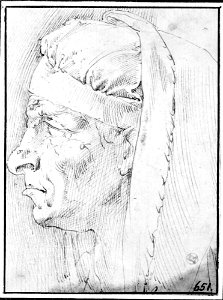 Parmigianino - Profile Head of a Man Wearing a Headdress of the Fifteenth Century, NMH 7921863