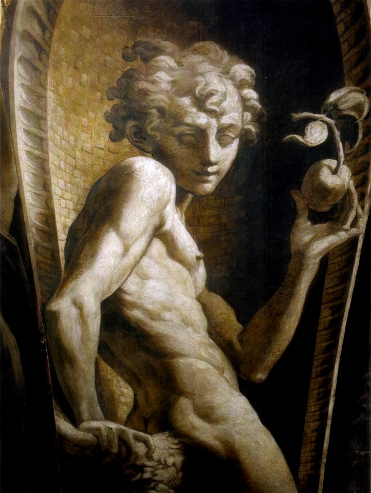 Parmigianino, affreschi steccata 11