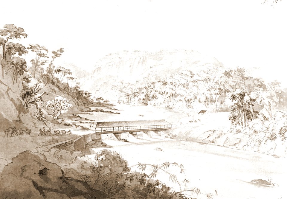 Paraíba do Sul river by Rugendas