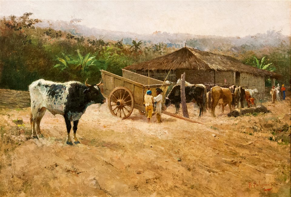 In the field by Beniamino Parlagreco, Parlagrecco