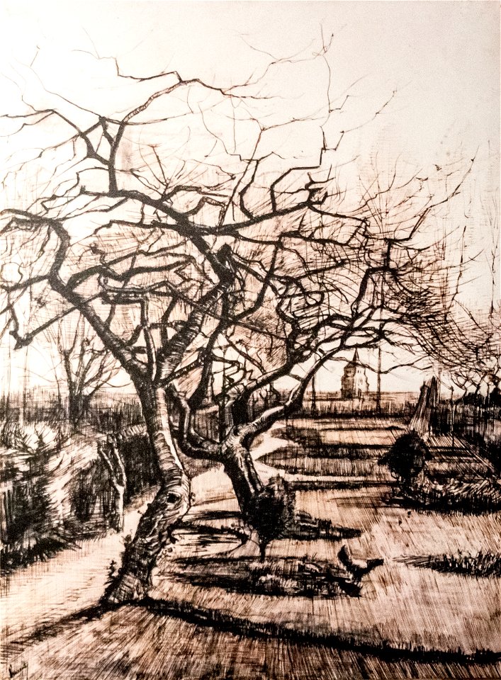 Parsonage Garden - My Dream