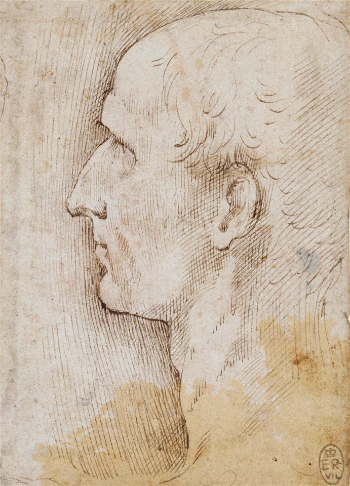 Parmigianino - The head of Julius Caesar c.1535-40, RCIN 990580