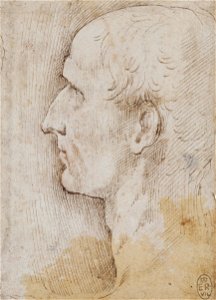 Parmigianino - The head of Julius Caesar c.1535-40, RCIN 990580