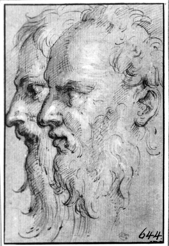 Parmigianino - Two Bearded Heads in Profile to the Left, NMH 7851863