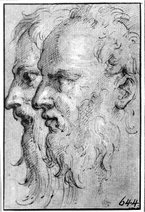 Parmigianino - Two Bearded Heads in Profile to the Left, NMH 7851863