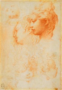 Parmigianino - Studies of women's and children's heads c.1524, RCIN 990345