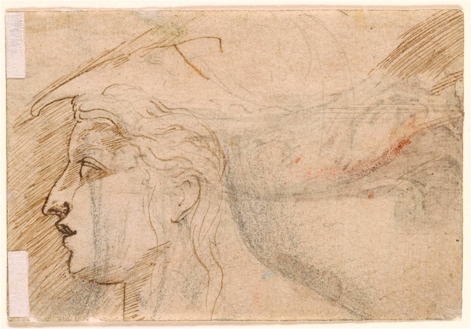 Parmigianino - Verso Head in Profile to the Left, 1981.92