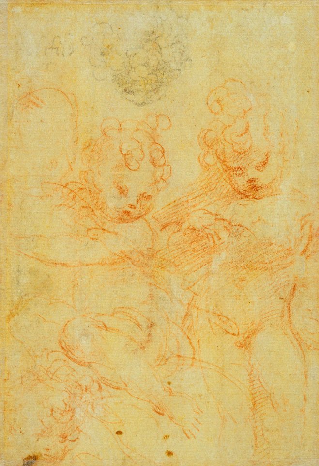 Parmigianino - Studies of women's and children's heads c.1524, RCIN 990345, v