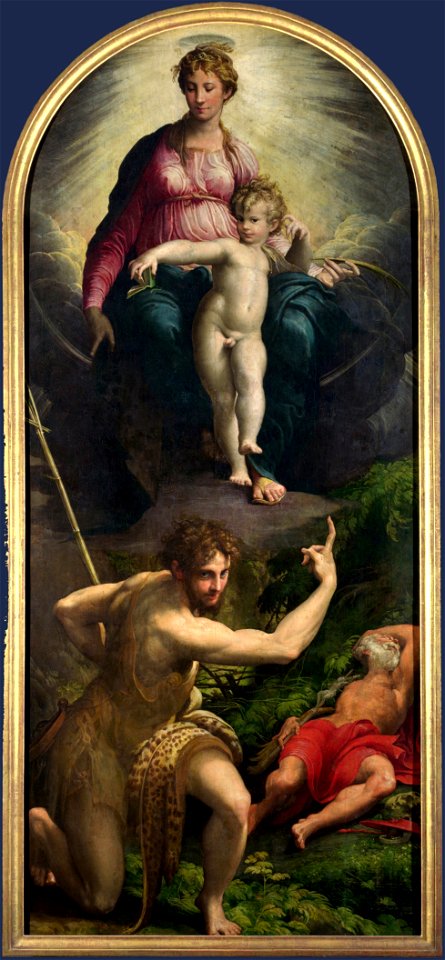 Parmigianino - The Vision of St Jerome - WGA17044
