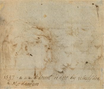 Parmigianino - Four female heads in profile c.1537-38, RCIN 990526, v
