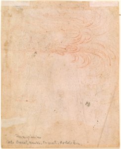Parmigianino - Verso Slight Sketch of a Palm-Tree, 1983.36