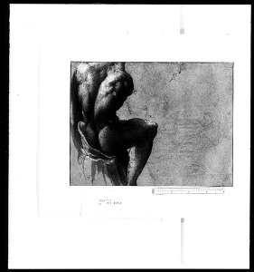 Parmigianino - A study for St Jerome c. 1525-7, RCIN 900883, v