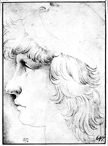 Parmigianino - Profile Head of a Youth wearing a Cap, NMH 7881863
