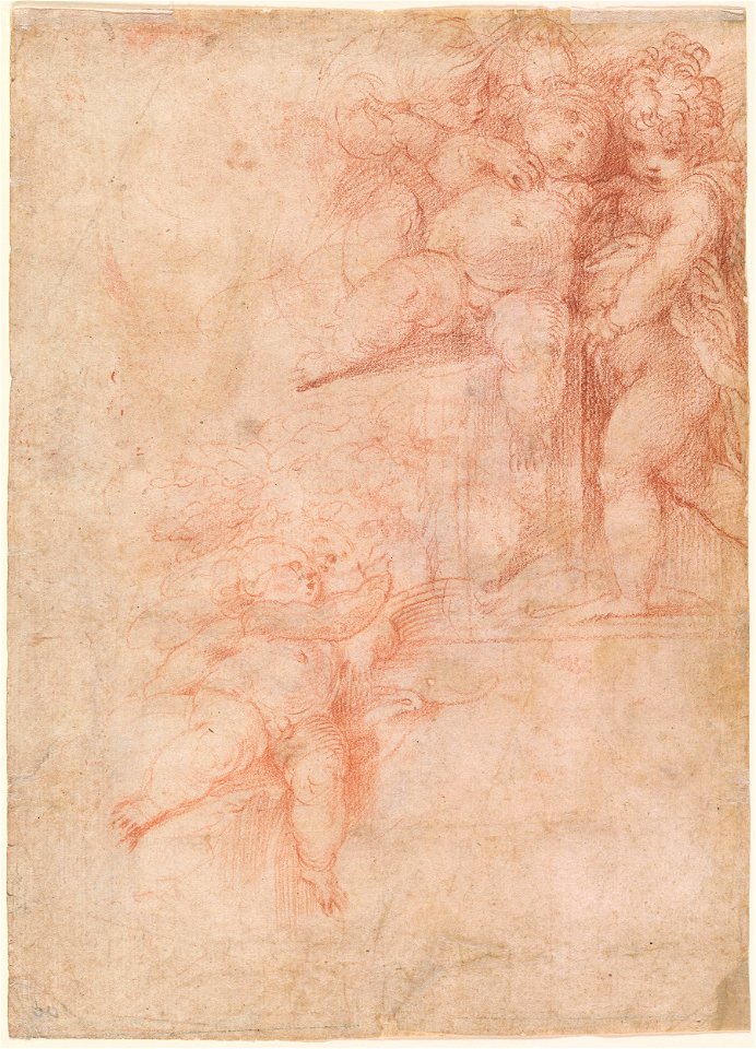 Parmigianino - Verso Studies of Embracing Putti, IV, 40
