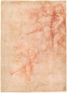 Parmigianino - Verso Studies of Embracing Putti, IV, 40