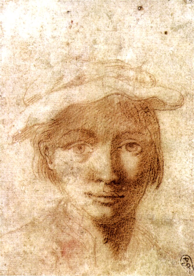Parmigianino, autoritratto, windsor