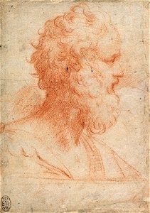 Parmigianino - The bust of a man c.1525-30, RCIN 990528