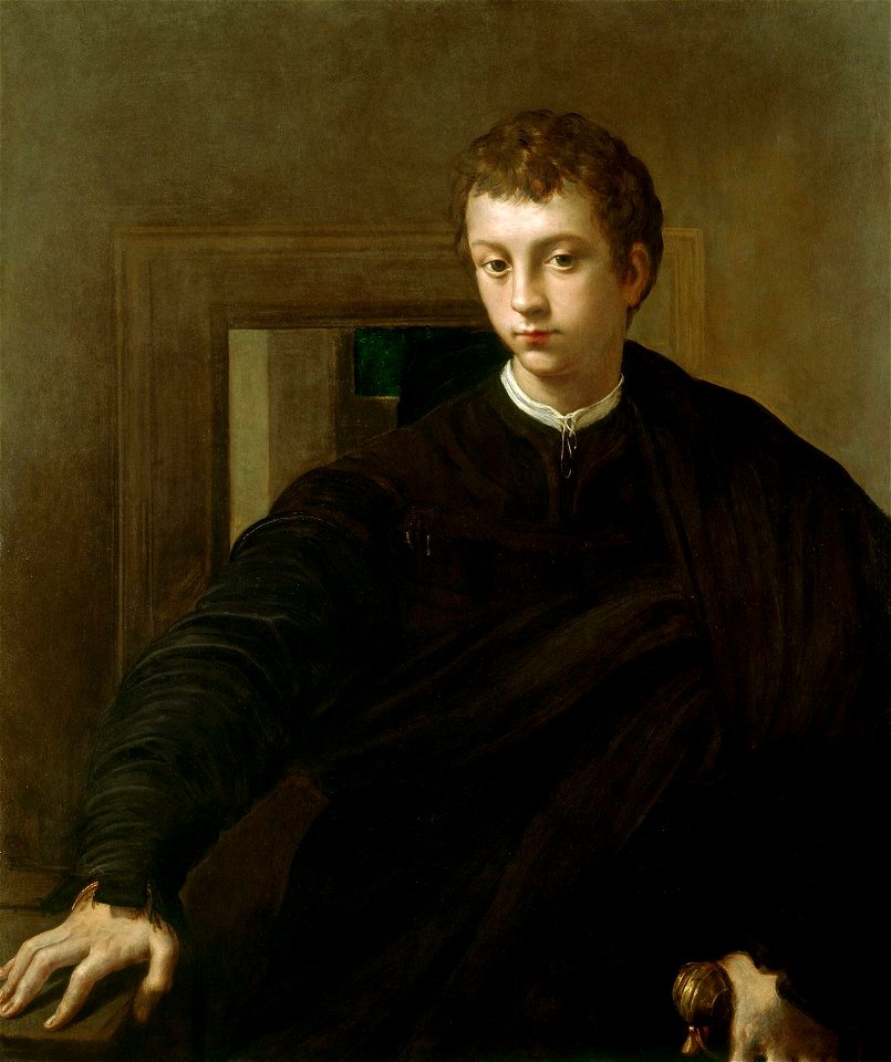 Parmigianino (Parma 1503-Casalmaggiore 1540) - Portrait of a Young Nobleman - RCIN 406025 - Royal Collection