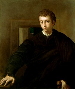 Parmigianino (Parma 1503-Casalmaggiore 1540) - Portrait of a Young Nobleman - RCIN 406025 - Royal Collection