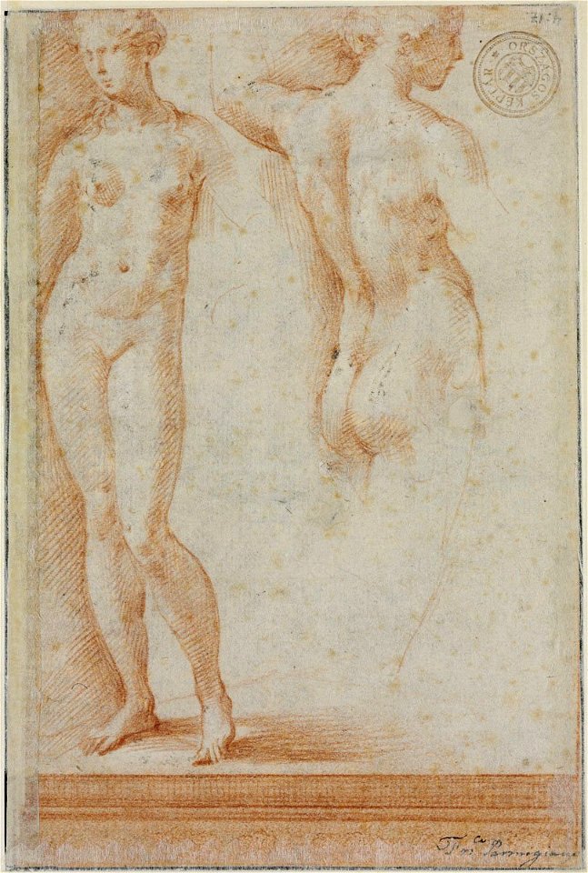 Parmigianino - recto Woman Kneading Dough, 2138, 17792