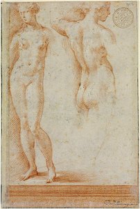 Parmigianino - recto Woman Kneading Dough, 2138, 17792