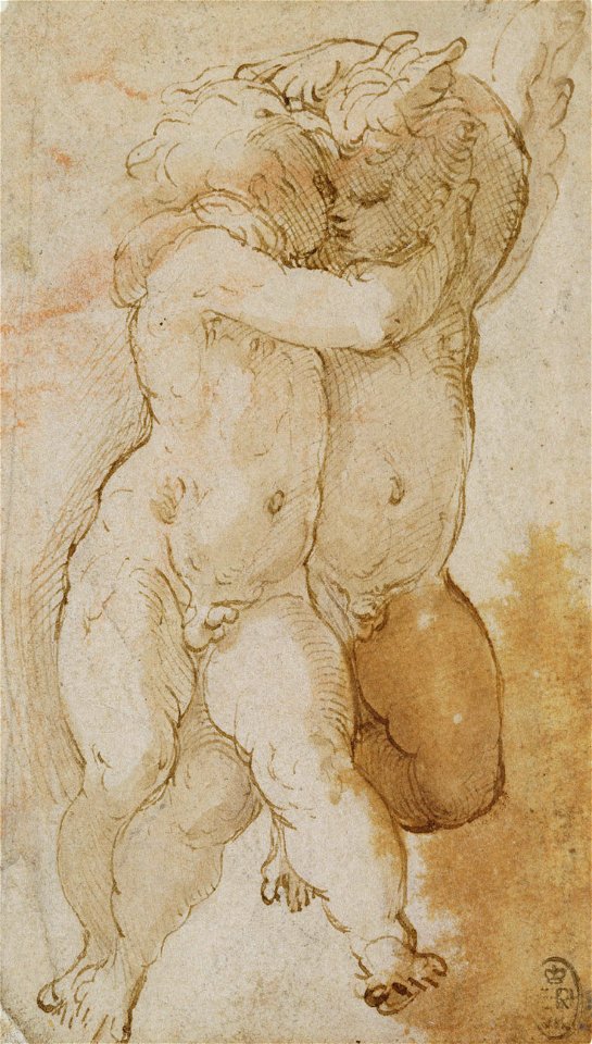 Parmigianino - Two putti embracing c.1524-7, RCIN 990567