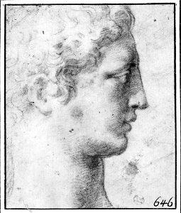 Parmigianino - Profile Head of a Youth to the Right, NMH 7871863