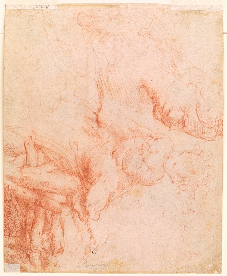 Parmigianino - Verso Studies of a Woman's Head, a Child and a Fence, 1977.47