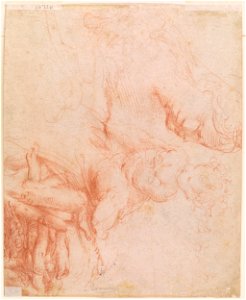 Parmigianino - Verso Studies of a Woman's Head, a Child and a Fence, 1977.47