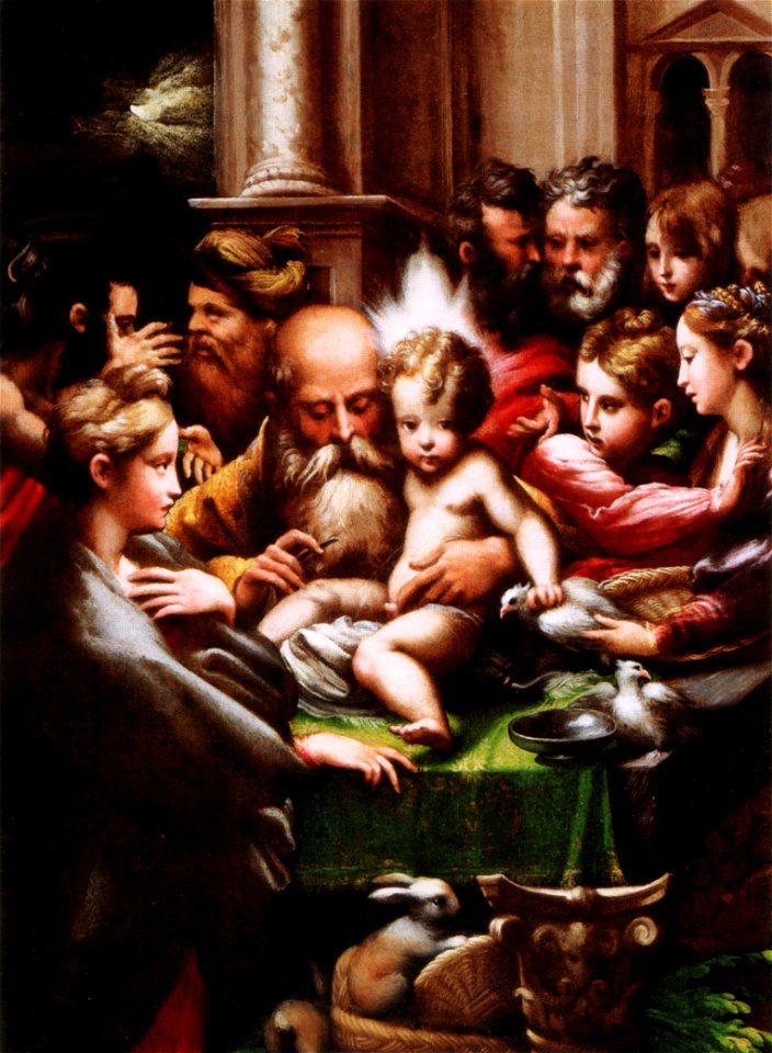 Parmigianino, circoncisione
