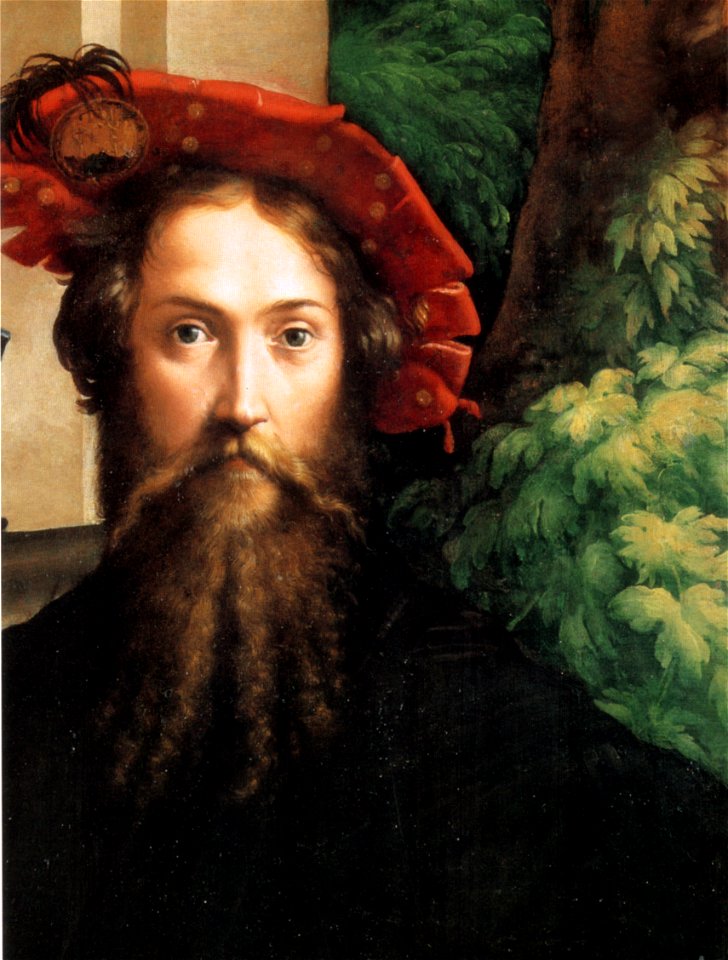 Parmigianino, galeazzo sanvitale 02