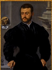 Paris Bordone - Portrait of a Gentleman 184L17033 9BDLY