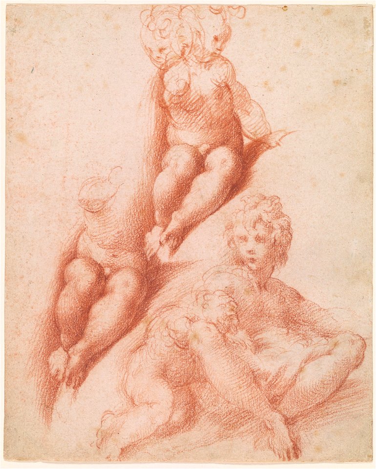 Parmigianino - Two Studies of a Putto and a Study of a Seated Boy with a Putto, 1977.47