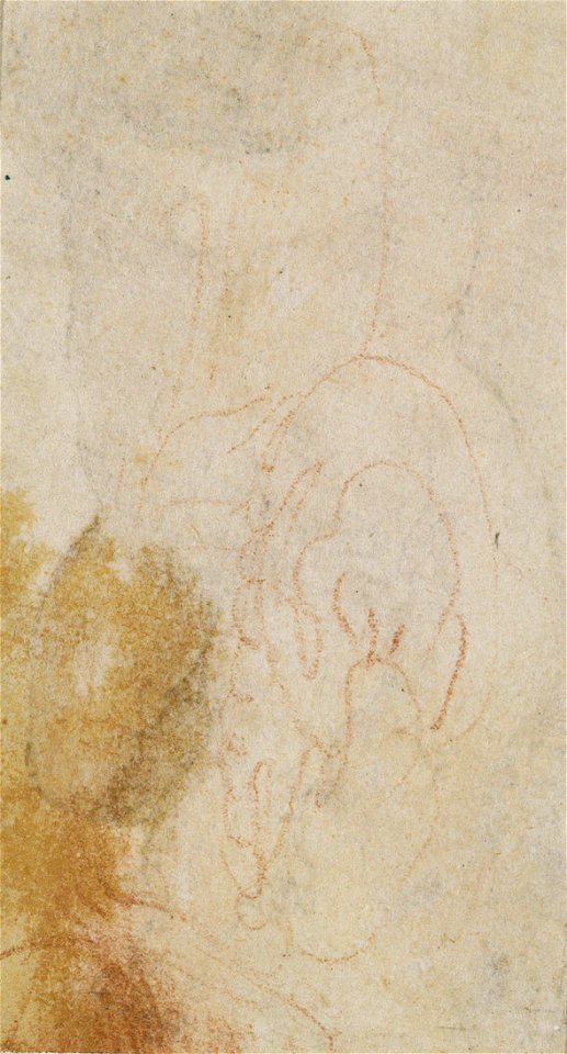 Parmigianino - Two putti embracing c.1524-7, RCIN 990567, v