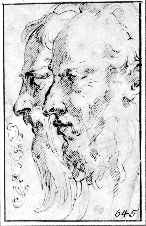 Parmigianino - Two Bearded Heads in Profile to the Left, NMH 7861863